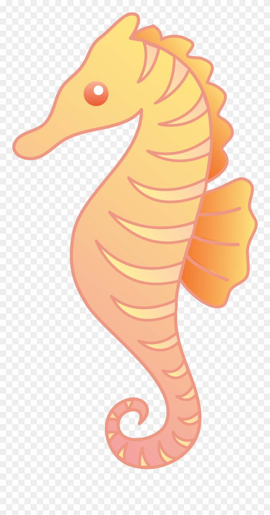 Orange Clipart Seahorse Pencil And In Color - Clip Art Of Sea Horses - Png Download