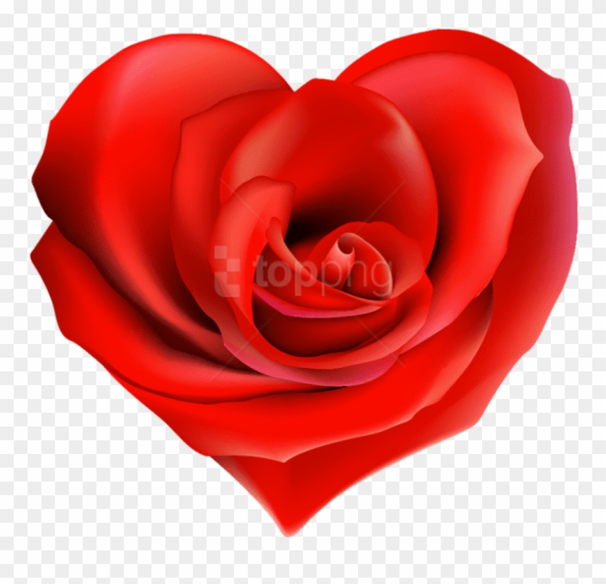 Heart Decorations, Heart Images, Heart Pictures, Hearts - Arreglos Florales Con Frases De Amor Clipart