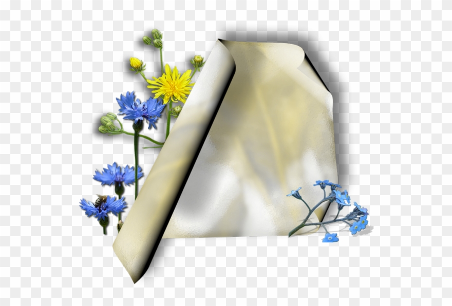 Parchemins - Flower Clipart