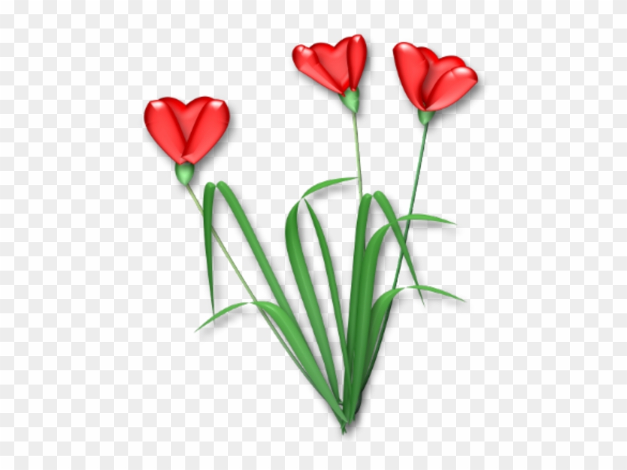 Flower Clipart