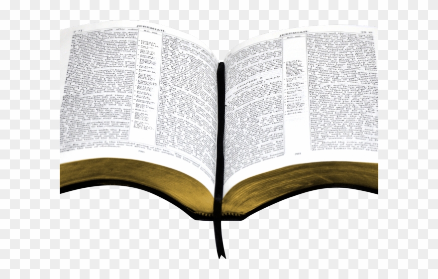 Open Bible Clipart - Bible - Png Download