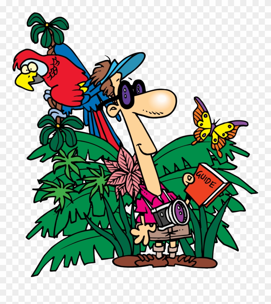 Church Docents Thursday Night In Parish Just - Jungle Clip Art Free - Png Download