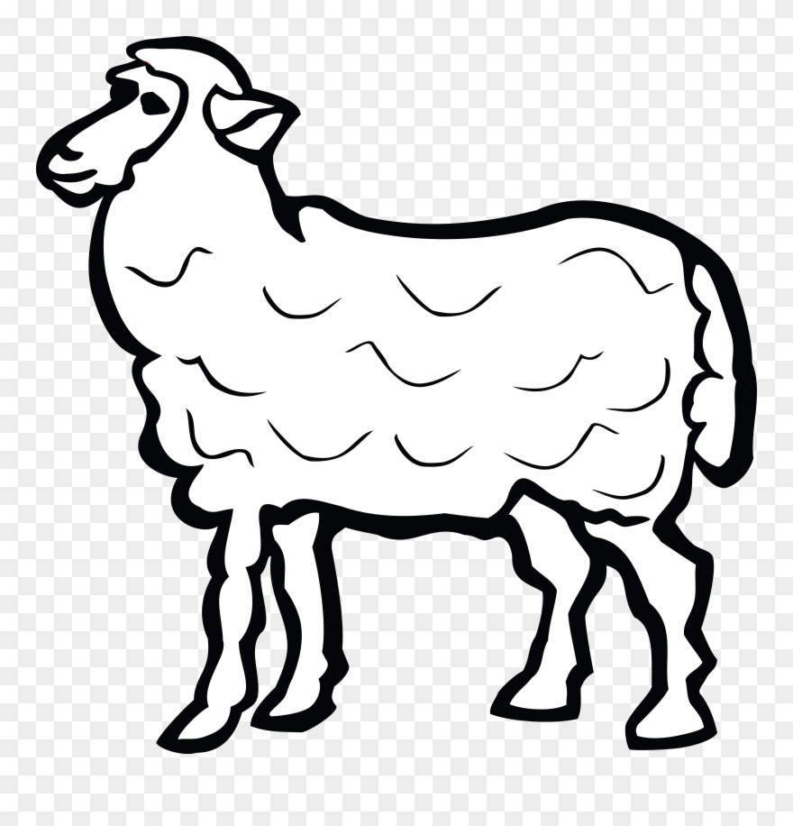 Free Clipart Of A Lamb - Sheep Name In Arabic - Png Download
