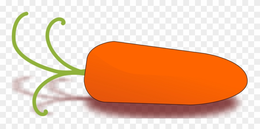Baby Carrot Download Drawing - Orange Things Clip Art - Png Download