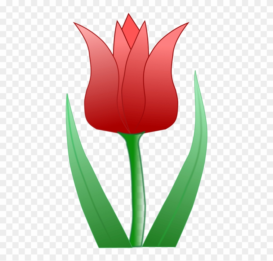 Clipart Tulipa Downloadable Clip Art For Microsoft - Tulips Cartoon Flowers - Png Download