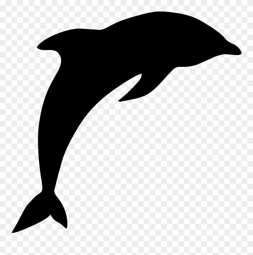 No Clipart - Common Bottlenose Dolphin - Png Download