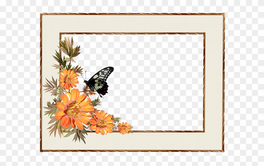 Frame, Border, Flowers, Butterfly, Decorative - Flower And Butterfly Border Clipart