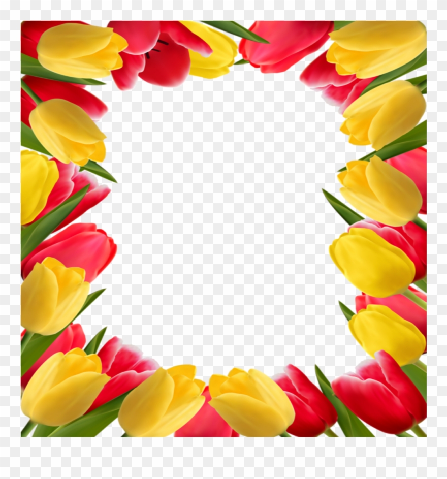 Mq Flowers Flower Frames Border Borders - Tulip Flower Page Border Clipart