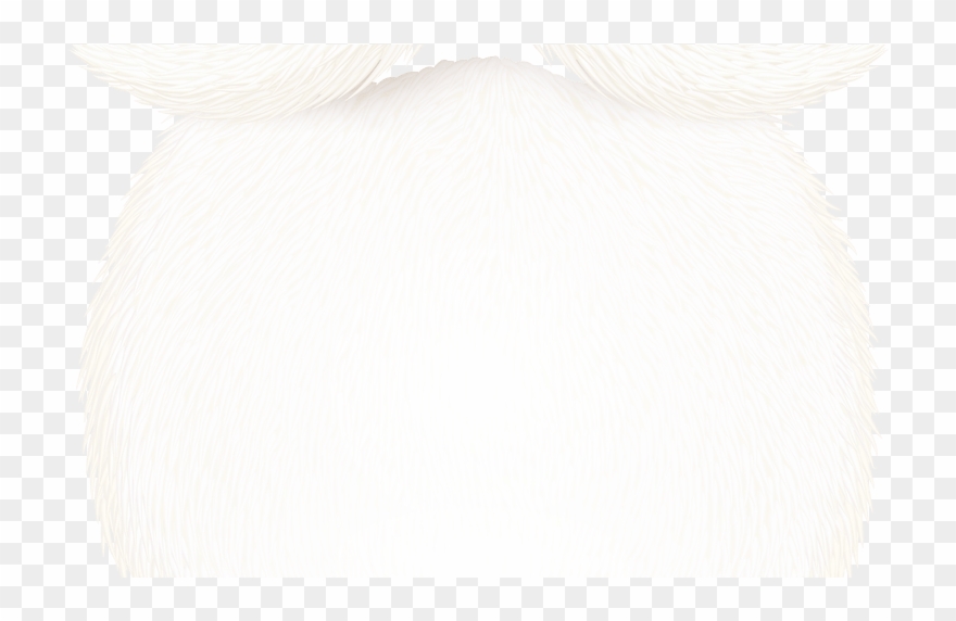 Santa Claus Beard Png Clipart Image Photoshop Png's - Portable Network Graphics Transparent Png