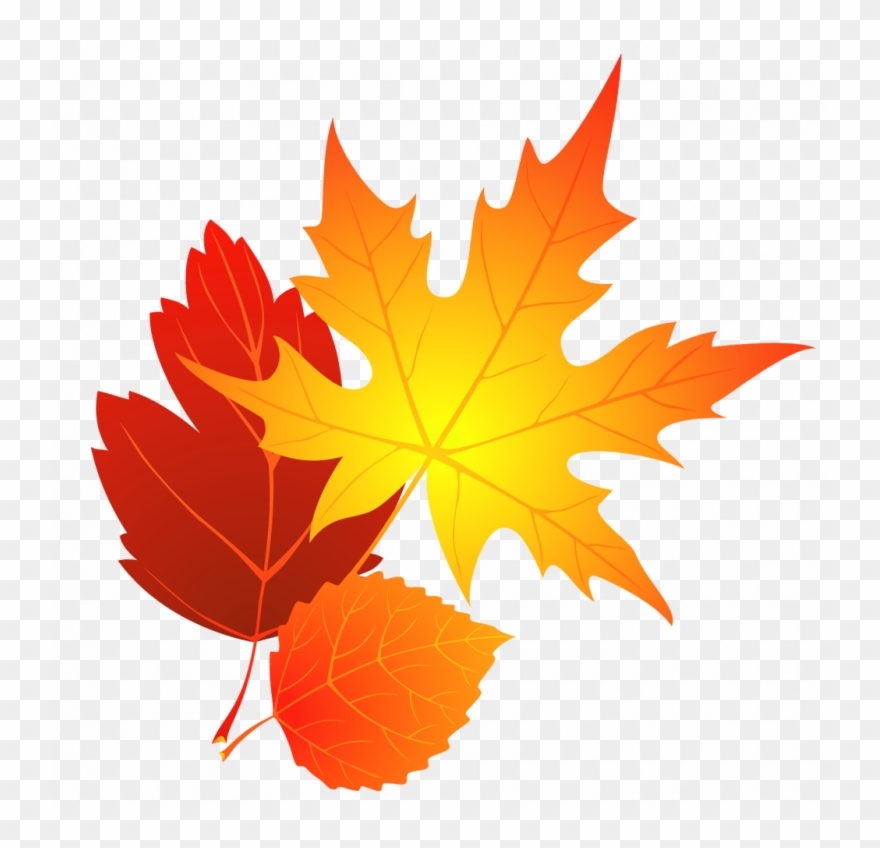 Transparent Background Fall Leaves Clipart - Png Download