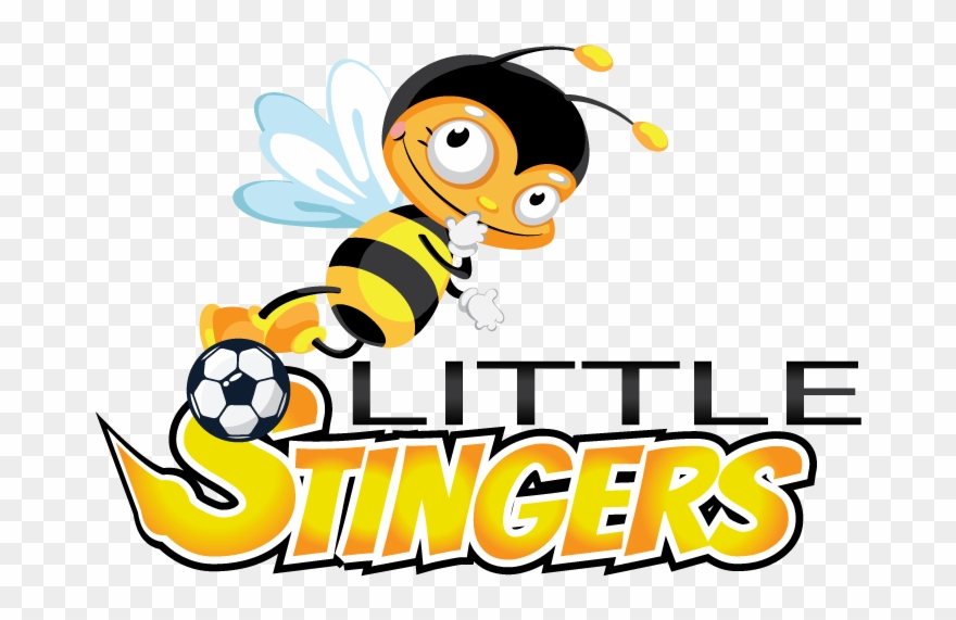 Choose From Multiple Custom Logo Designs - Vector Graphics Clipart