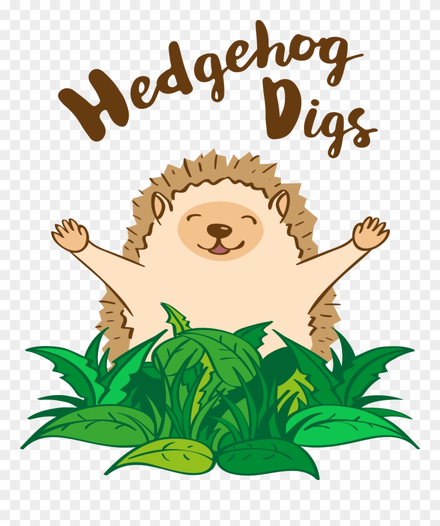 Illustration Clipart