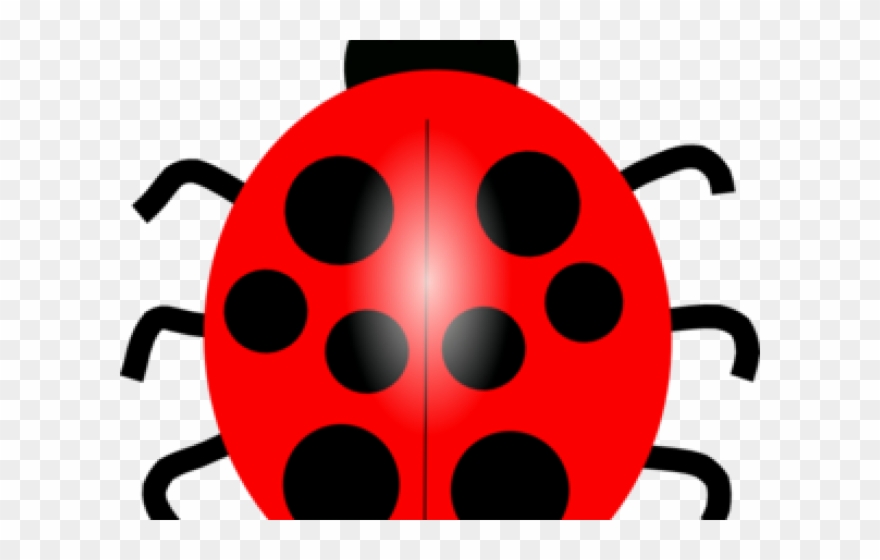 Drawn Lady Beetle Clipart - Lady Birdclip Art - Png Download
