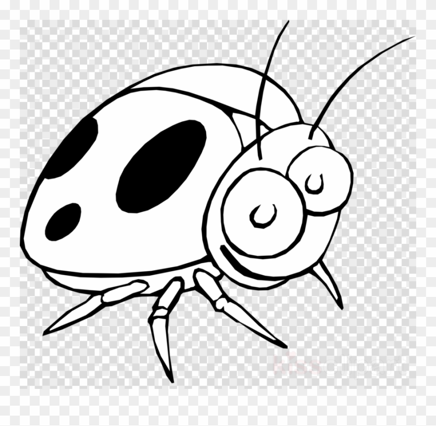 Download Ladybug Cartoon Black And White Clipart Little - Orange Bugs Cartoon - Png Download