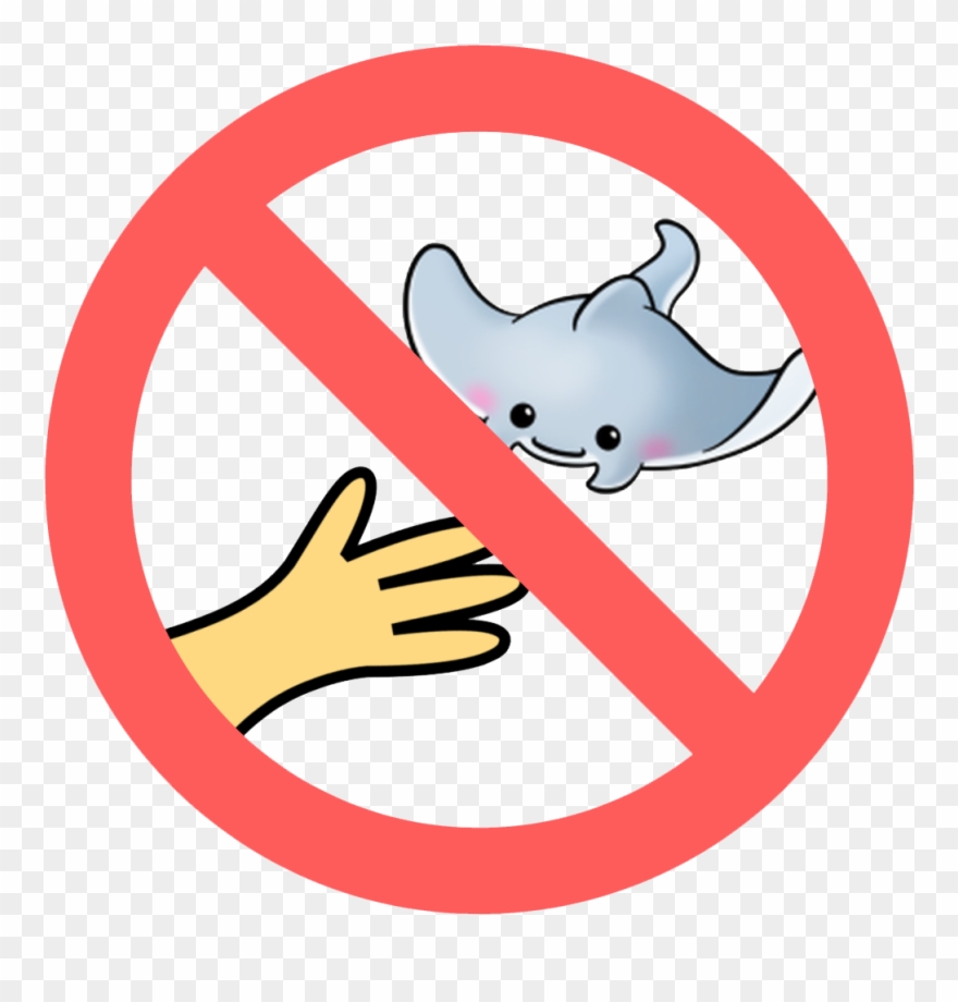 No Touching Or Chasing Marine Life - Do Not Walk In Shoes Sign Icon Clipart