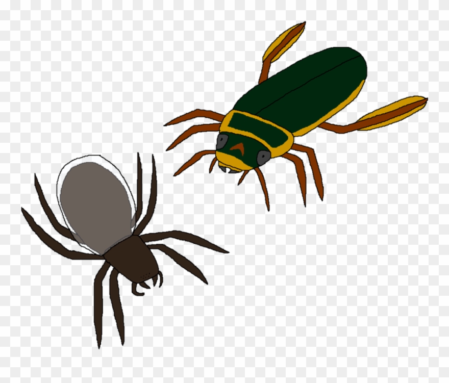 Transparent Bugs Water - Water Clipart