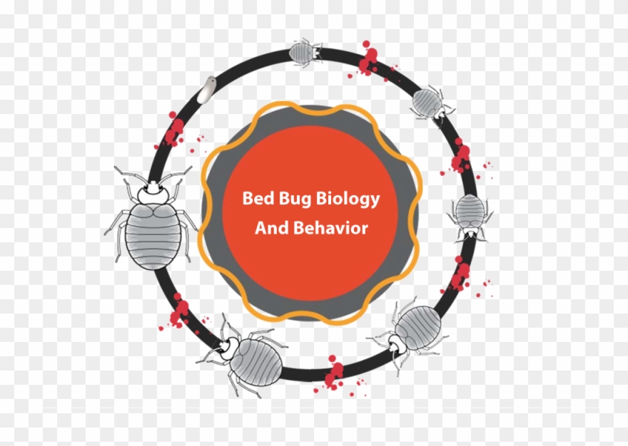 If You Are Looking For More Information On The Subject - Panneau Arret Interdit Quebec Clipart