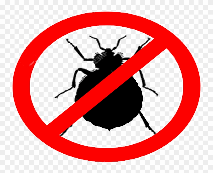 Bed Bugs Clipart