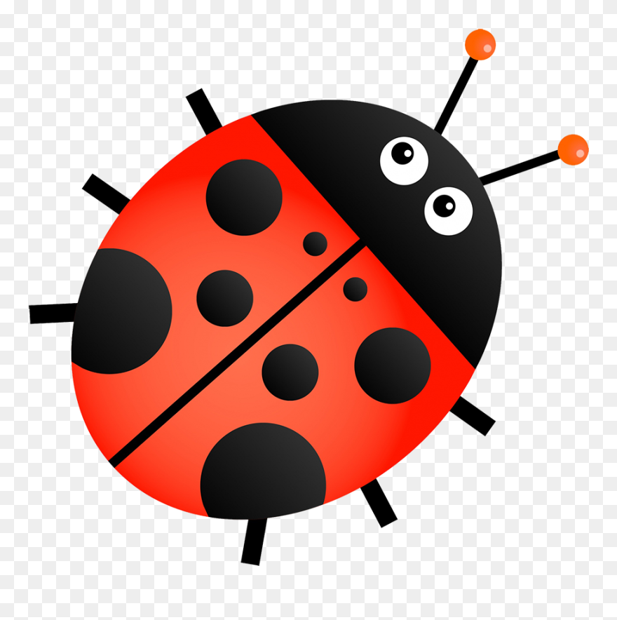 Png Images Transparent Free Transparent Background - Lady Bug Clipart Background