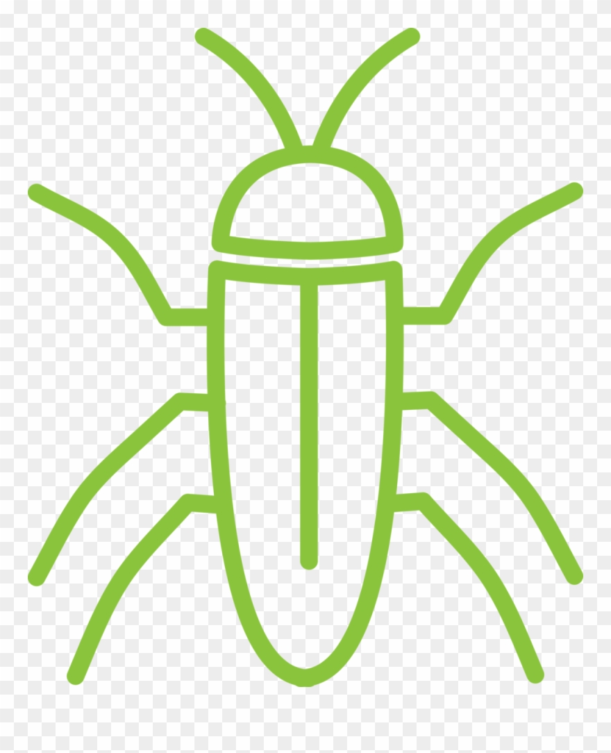 Why You Might Have Cockroaches - House Clipart