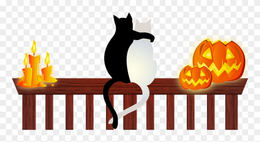 Keep Your Cat Safe This Halloween - Halloween Cats Clipart
