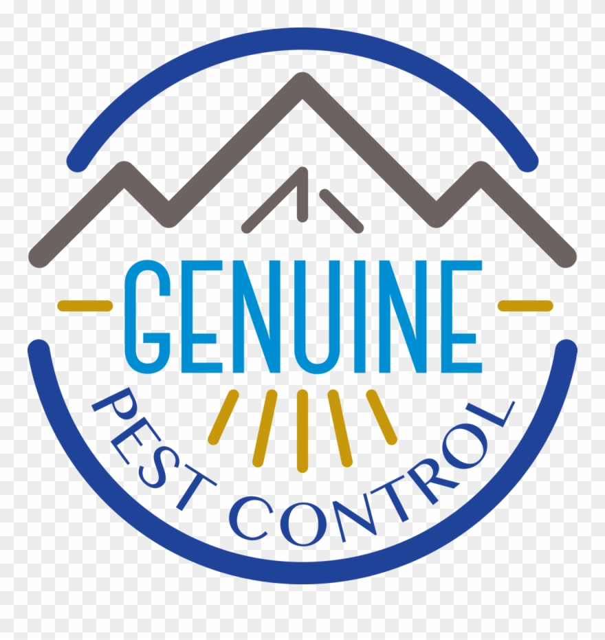 Genuine Pest Control - Summer Camp Clipart