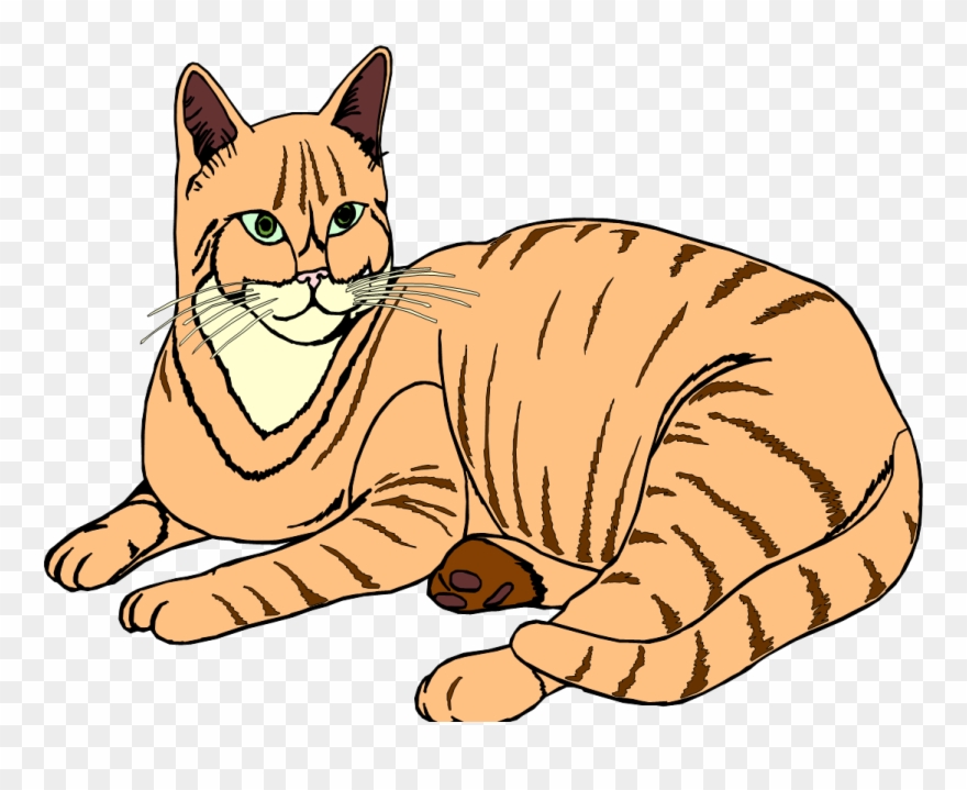 El Gato - Cat Yawns Clipart