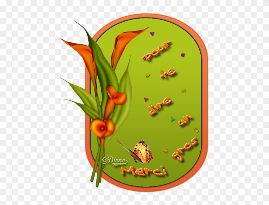 Illustration Clipart