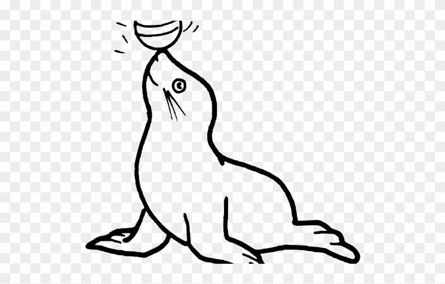 Seal Clipart Harp Seal Clipart Polar 21 1024 X 768 - Template Of A Seal - Png Download