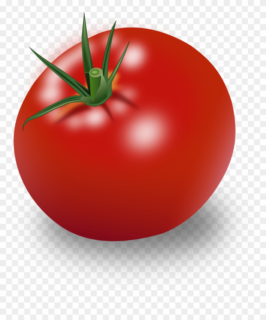 Image Gratuite Libre De Droit Creative Commoons Cco - Tomato Clipart Png Transparent Png