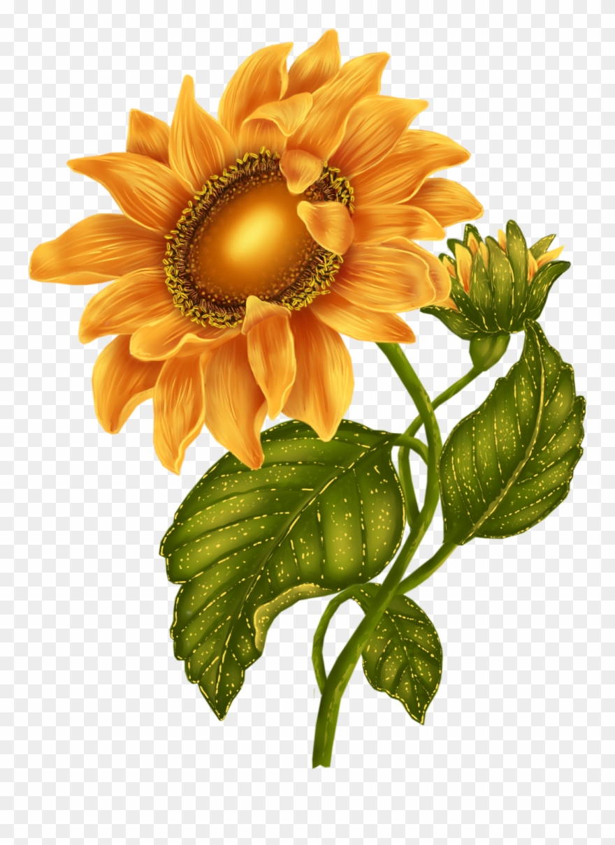 October 2015 « Archive - Flowers Flores Clipart - Png Download