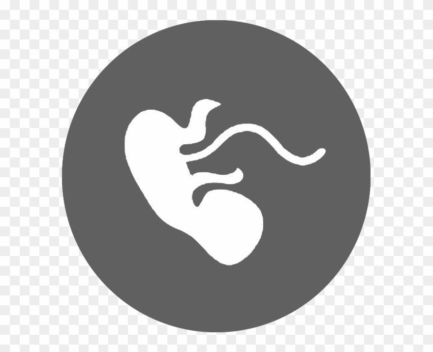 Kidneys & Fluids - Картинки Ps Clipart