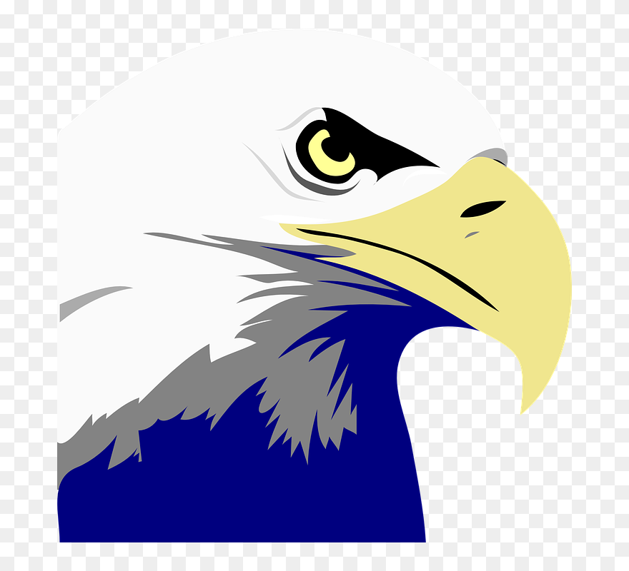 Bald Eagle Black And White Clipart - Png Download