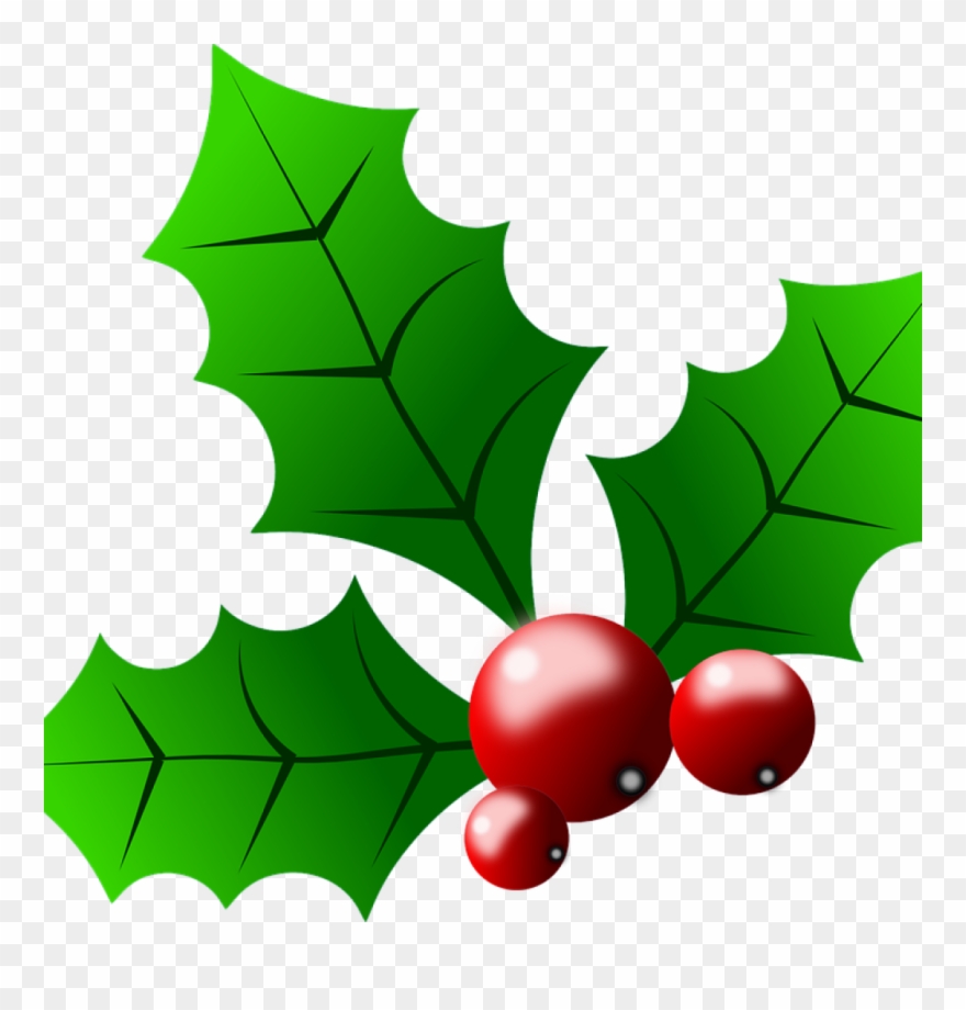 Holly Images Free Collection Of Free Berries Clipart - Christmas Holly Clipart - Png Download