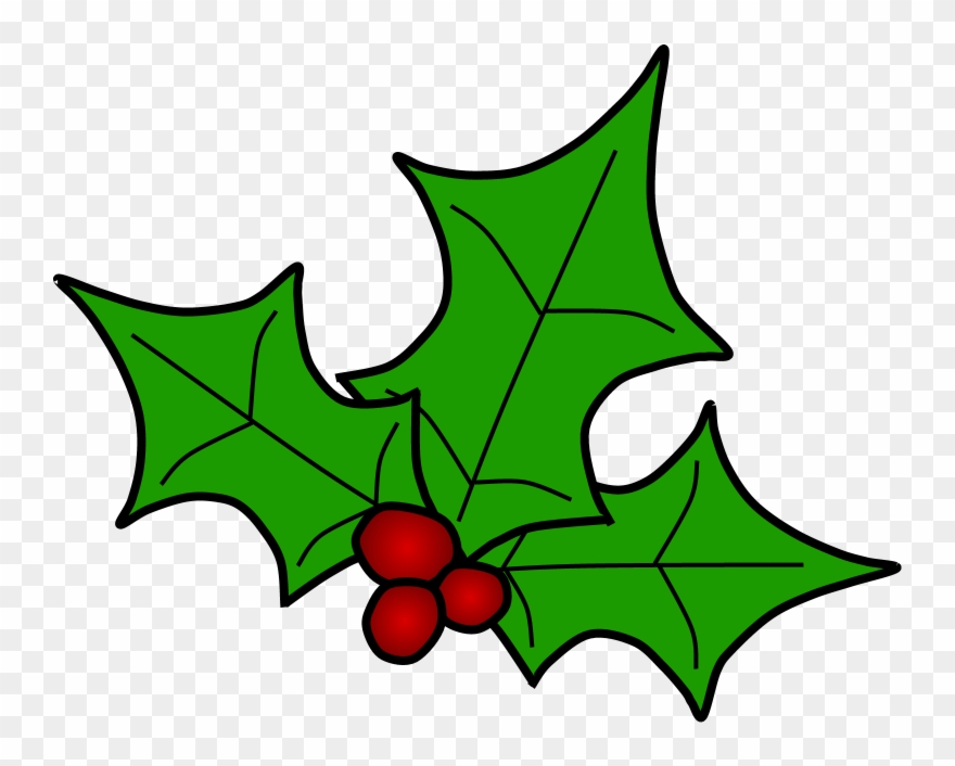 Holly, Berries, Leaves Spread, Green, - Holly Clipart