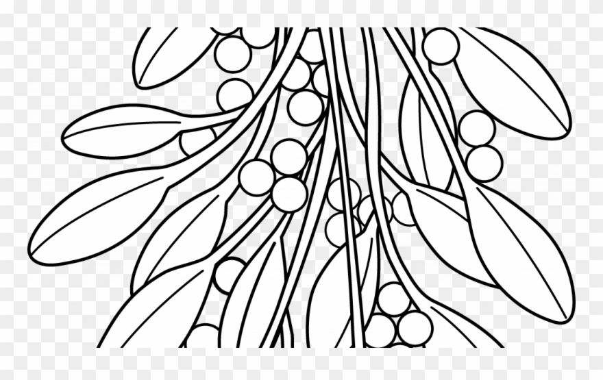 Christmas Colouring Pages Holly With Coloring Mistletoe - Mistletoe Colouring Pages Clipart