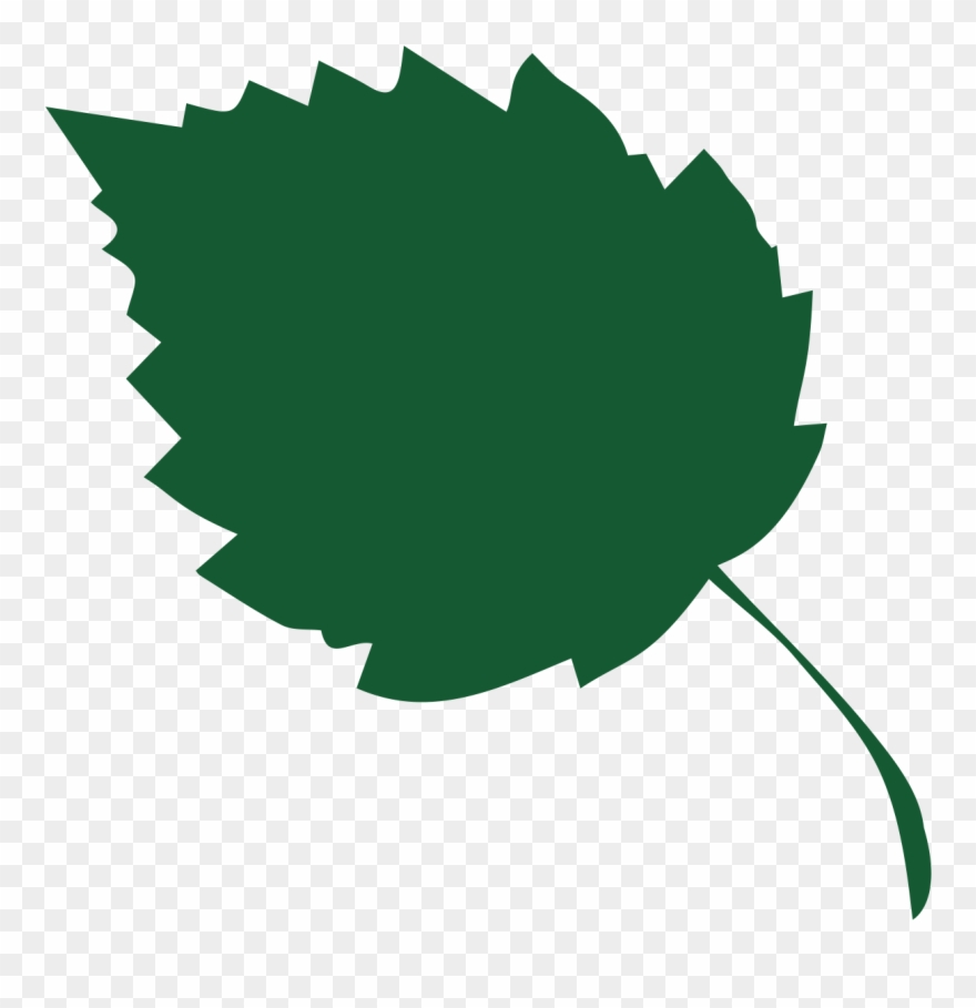 Hazel - Hazel Leaf Clip Art - Png Download