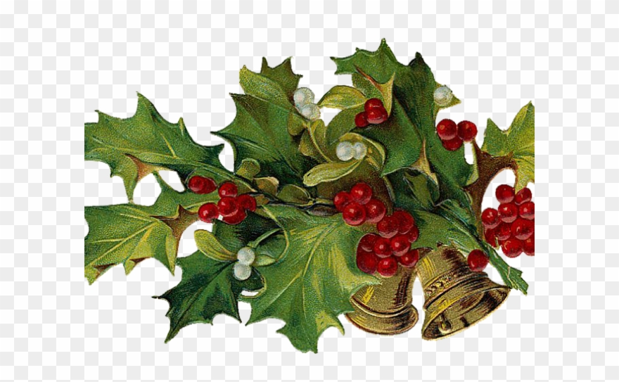 Holley Clipart Victorian - Christmas Holly 5'x7'area Rug - Png Download