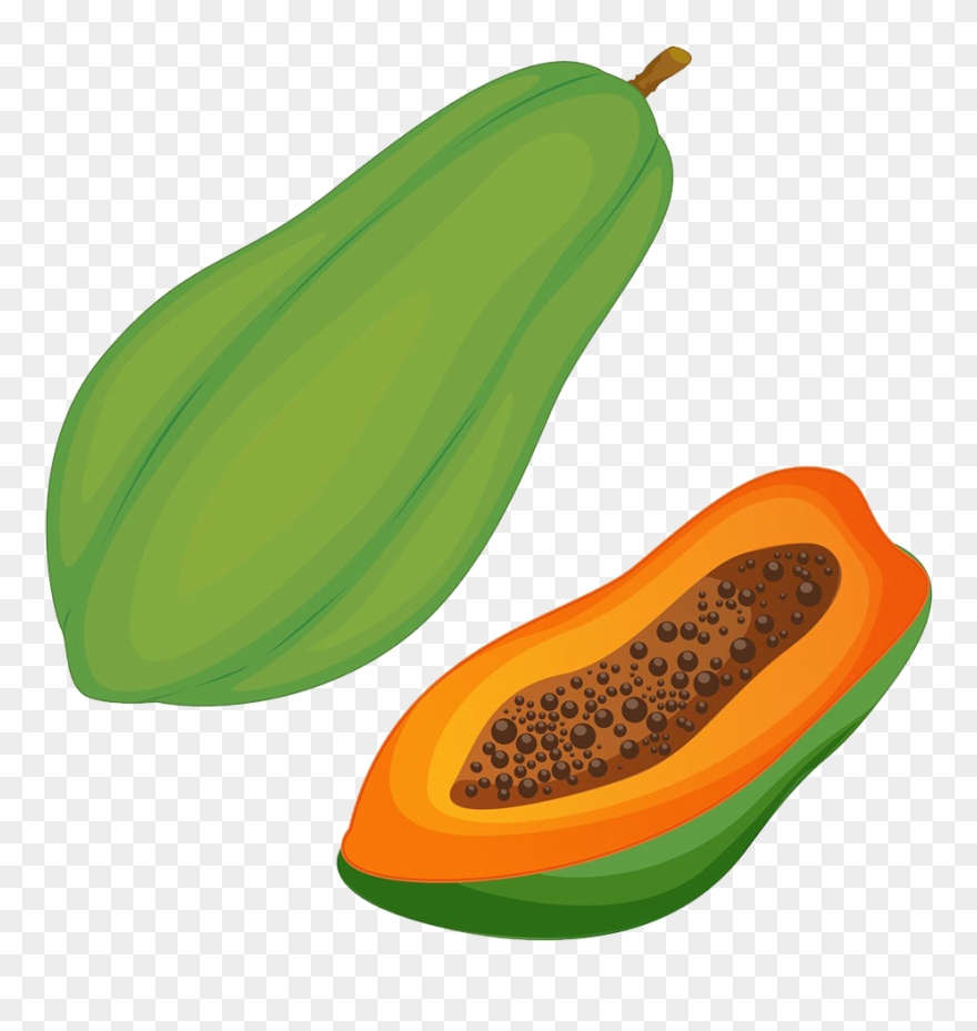 Pawpaw Clip Art Green - Papaya Clipart - Png Download