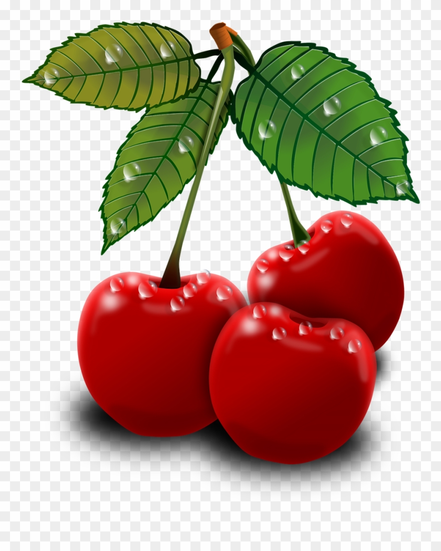 Clip Art Transprent Png Free Download - Essen Lustige Bilder Bewegliche Bilder Transparent Png