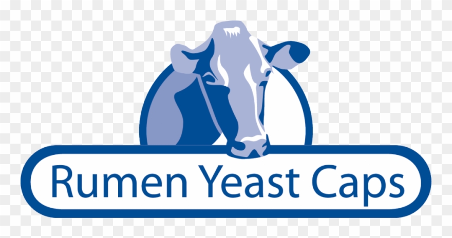For Mature Dairy Cattle, A Source Of Naturally Occuring - Rumen Yeast Caps For Dairy & Beef Cattle By Tech Clipart