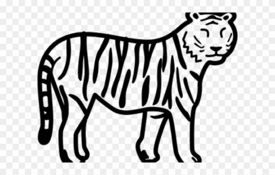 Save Tiger Easy Drawing Clipart