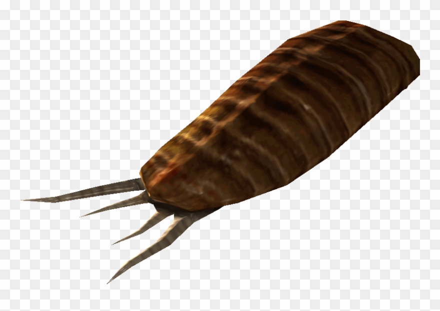 Radroach Meat - Mutaracha Fallout Clipart