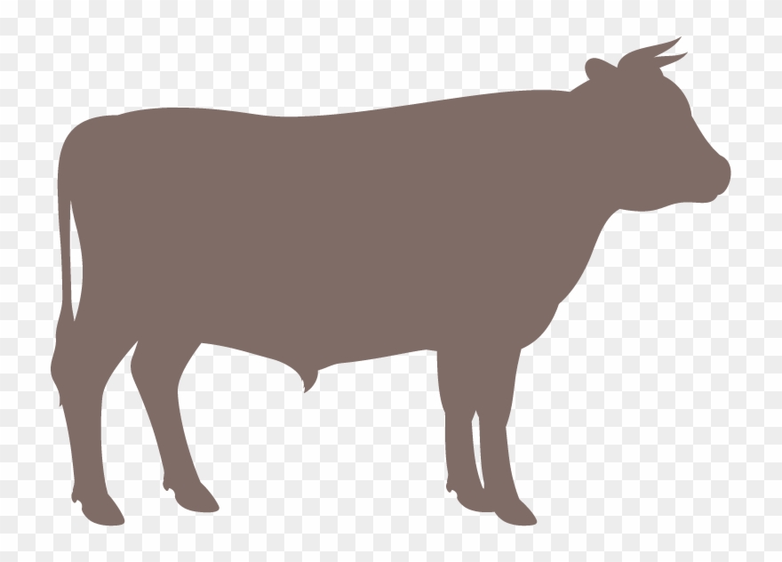 Wondering About Our Current Selection Of Livestock - Farm Fresh Beef Clipart