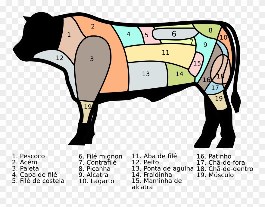 Picanha Cut - Pesquisa Google - Cuts Of Beef Clipart
