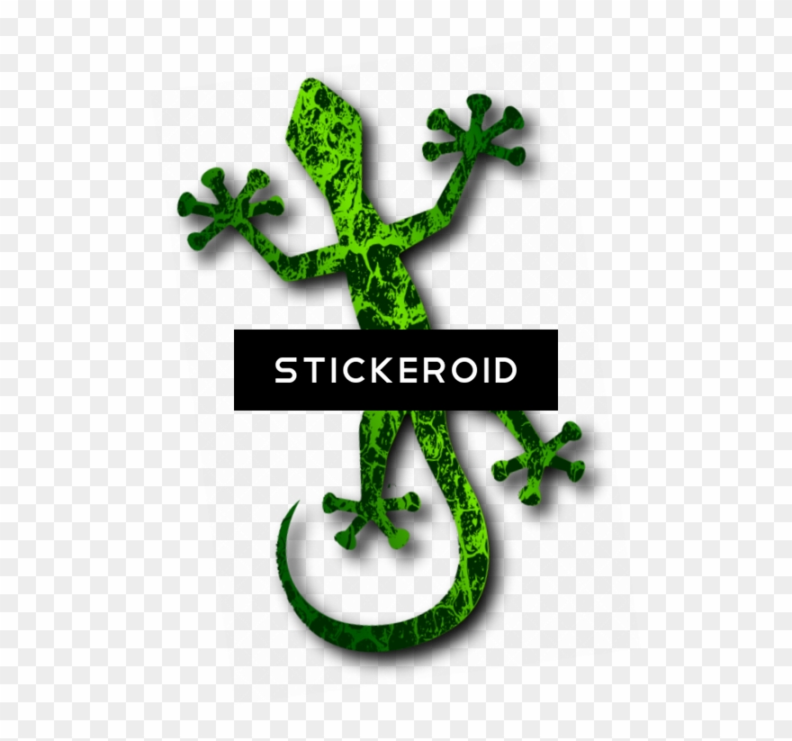 Geckos Insects - Set Of 6 Lizards 1 25 Magnets Funny Cute Reptile Lizard Clipart