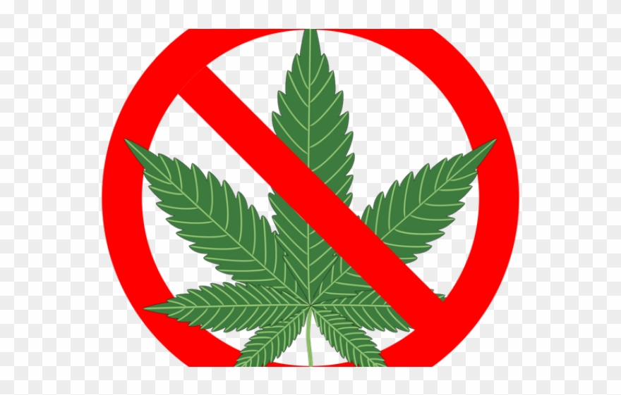 Weed Clipart Evil - Reasons Not To Smoke Marijuana: The Complete - Png Download
