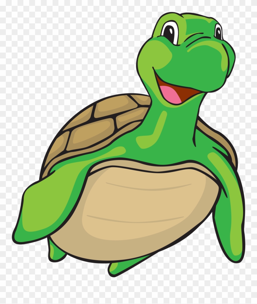 Swimming Turtle Cartoon Png Clipart