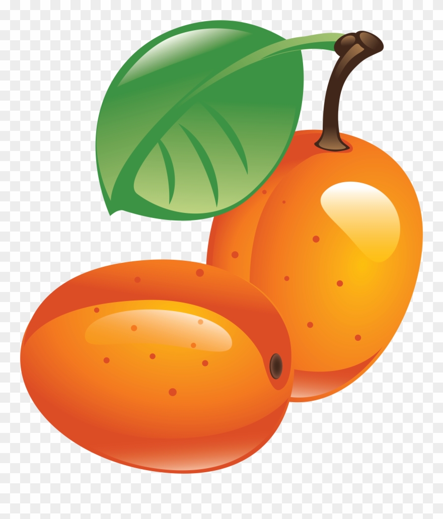 Download - Sea Buckthorn Icon Clipart
