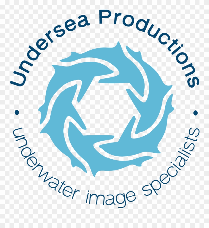 Clip Art Transparent Library Pin By Eco Insp On Coralreefs - Undersea Productions Logo - Png Download